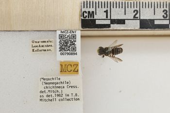 Media type: image;   Entomology 790894 Aspect: Labels